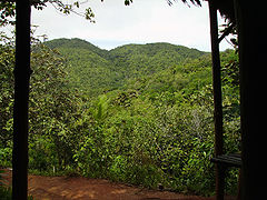 Panorama Vallée de Mai