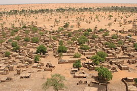 Environmental migration. Sparser rainfall leads to desertification that harms agriculture and can displace populations. Shown: Telly, Mali (2008).[267]