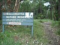 entrance to Wallumatta Nature Reserve