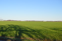 Winter wheat fields north of Roselms