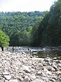 Loyalsock Creek in Worlds End State Park (on the Main Page in Did You Know... on December 18, 2006)