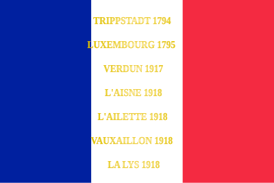 Drapeau du 169e régiment d'infanterie de l'armée française, avec ses batailles.