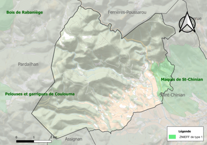 Carte de la ZNIEFF de type 1 sur la commune.