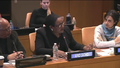 AfroCROWD Director, Sherry Antoine, Speaks at the United Nations