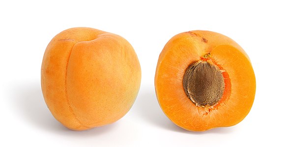 Apricot, by Fir0002