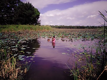 Family swimming at Ashwayabedi Wewa