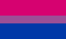 Bisexual flag of three solid horizontal bars two fifths pink, one fifth purple, and two fifths blue.