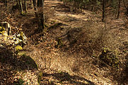 Bild 10: Halsgraben mit Außenwall von der Hauptburg aus