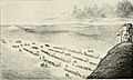 Image 17Depiction of the Donner Party heading west on the California Trail. (from History of California)