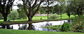 A pond in Carel Venter Park