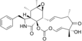 Cytochalasin E