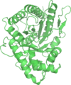 PDB: 4ALD​. Fructose 1,6-bisphosphate aldolase. Human. Muscle. Complexed with fructose 1,6-bisphosphate.