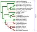 Editierbare Fassung (derivativeFX: xavax)