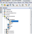 Java CAPS environments in NetBeans Services includes Logical Host and other components