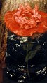 Detalle de la amapola