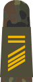 Stabsgefreiter BA (Navy able seaman boatswain aspirant, field uniform mounting strap. note the small stripes)