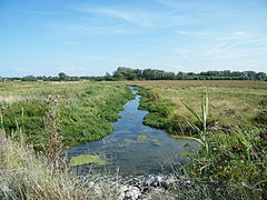 Le Dien, juste avant de déboucher en baie de Somme. À gauche, une partie des eaux part rejoindre le canal de la Maye.