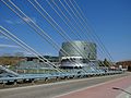 Pont des Tirantes et Palais des Congrès