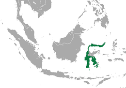 Distribución deTarsius tarsier. (Inclúe á de Tarsius fuscus, especie recentemente separada da anterior).