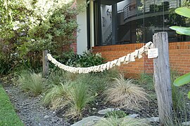 Jug-Skin Fence (2009), Cheryl Lucas