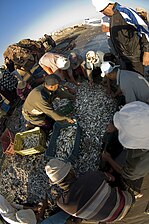 Produits de la pêche