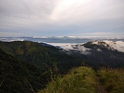 View from Reiek top