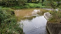 矢田川と八幡川の合流点[注釈 2]