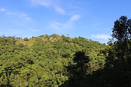 Zikha Taung, point culminant de l'île.