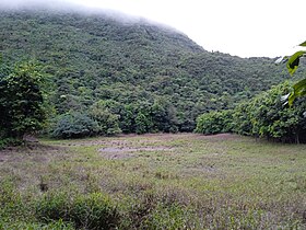 L'étang Roche au pied du morne Boudoute.