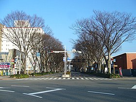 駅前通りのケヤキ並木