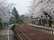 構内（2006年4月、桜の季節）