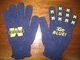 University of Michigan gloves