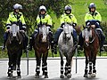 Australian Mounted Police