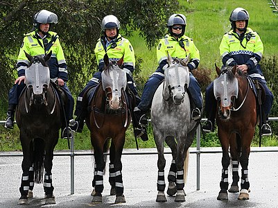 Mounted officers of the Victoria Police, by Mriya (edited by John O'Neill)