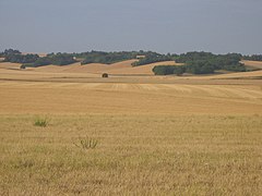 Paysage de l'Auxerrois, dans le centre.