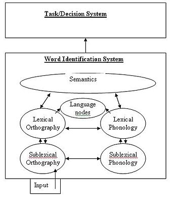A flow chart representation of the BIA+ model for bilingual language processing including the word identification and task/decision subsystems.