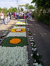 A floral carpet and one of two gates at the back, June 2021