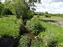 Bras du canal des Moulins au lieu-dit Moulin Neuf, à Salles-Lavalette.