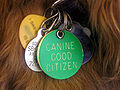 Canine Good Citizen dog tag