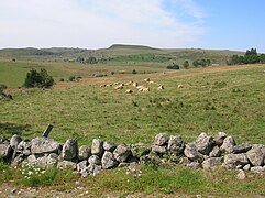 Aperçu du nord de l'Aubrac : le truc de l'Agullio et le Drellier (à droite).