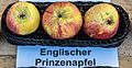 Englischer Prinzenapfel