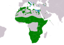 Southern Europe, Arabian Peninsula, and widespread in Africa