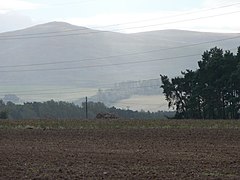 Hedgehope above Fenton Wood