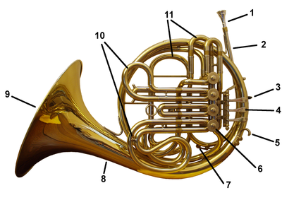 Cor d'harmonie moderne de face.