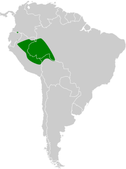 Distribución geográfica del titirijí de Johannes.