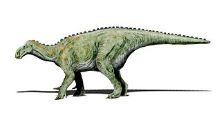 Iguanodon