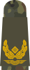 Brigadegeneral (field suit)
