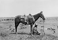 Erwin E. Smith (1886–1947), A wrangler keeping an eye on the remuda grazing below in an arroyo, 1910