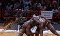 Ground fighting in Senegalese wrestling