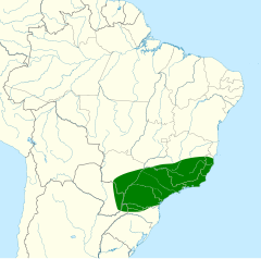 Distribuição do macuru-de-barriga-castanha